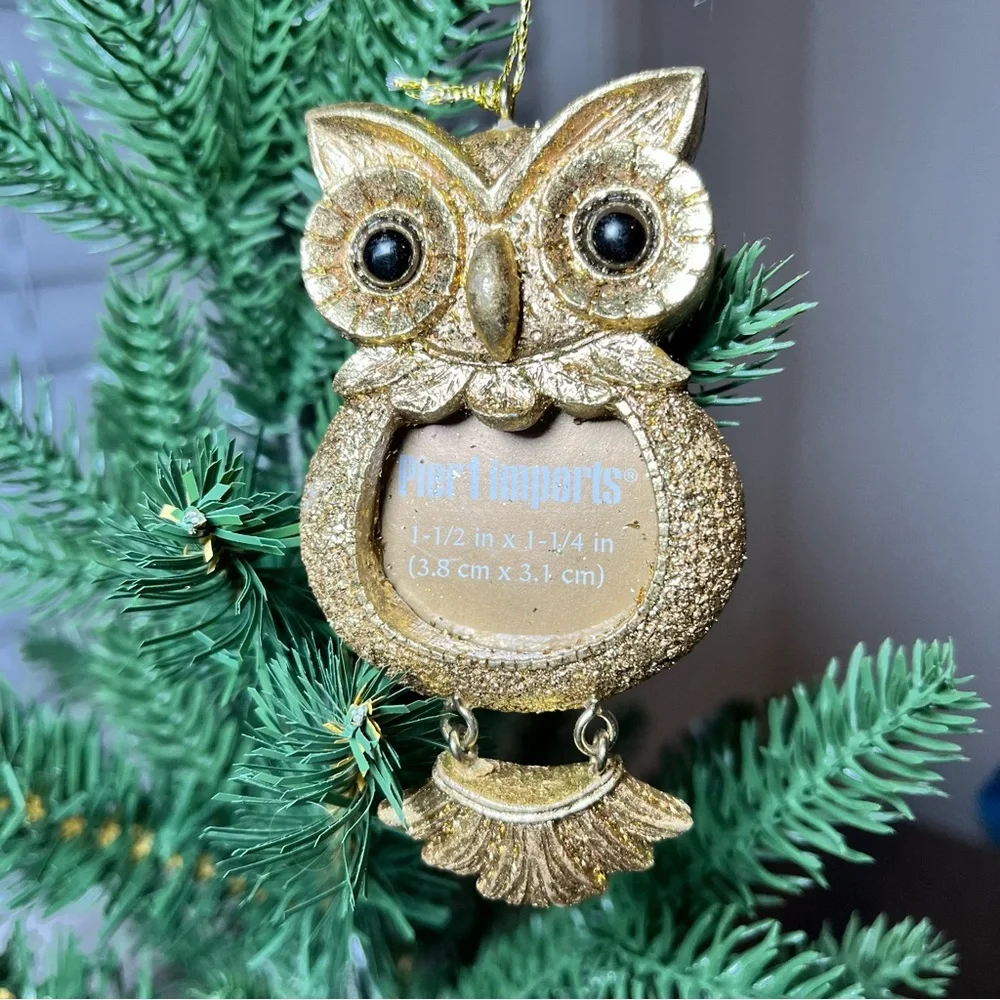 Pier 1 Imports Gold Owl Ornament Picture Frame